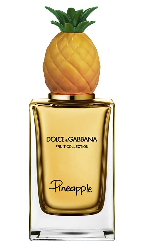 dolce gabbana frauen parfum|dolce and gabbana unisex fragrance.